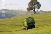 Silieren Krone 7