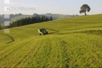Silieren Krone 10