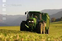 Silieren Krone 14