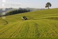 Silieren Krone 9
