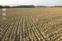 Soil after Cambridge 2