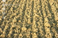 Soil after Cambridge 4