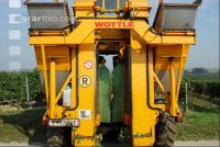 Weinlesemaschine 1
