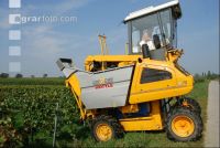Weinlesemaschine 14