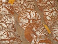 Brotlaibe 5