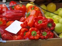 Paprika 20