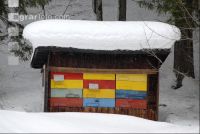 Bienenstock Winter