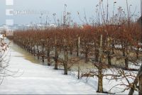 Schnee Schmelze 2