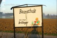 Baumschule