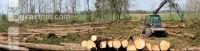 Forwarder 2