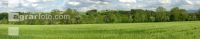 Gerste Panorama 1