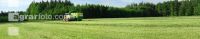 Gras silieren