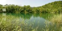 Grüner See