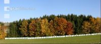 Herbst 3