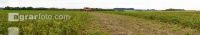 Kartoffel Panorama 6