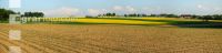 Raps Panorama 2