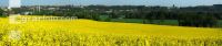 Raps Panorama 3
