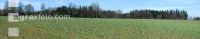 Raps Panorama 5