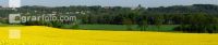 Raps Panorama 12