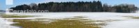 Schneeschmelze 1