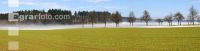 Schneeschmelze 4