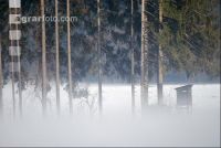 Kanzel im Nebel