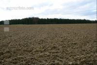 Bare fallow 1
