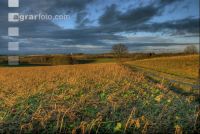 Abendrot 3