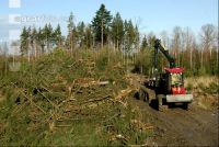 Forwarder 32