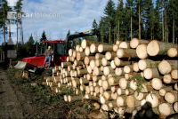 Forwarder 35