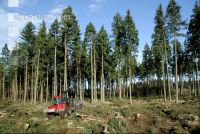 Forwarder 37