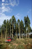 Forwarder 38
