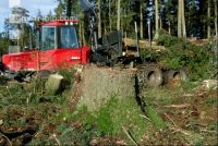 Forwarder 42