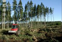 Forwarder 44