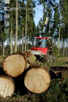 Forwarder 45