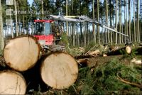 Forwarder 46