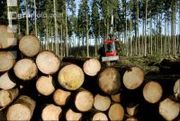 Forwarder 47