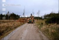 Holz auf LKW 8