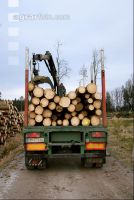 Holz auf LKW 14
