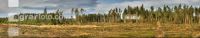 Waldschaden 4