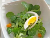 Vogerlsalat 1