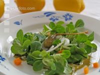 Vogerlsalat 2