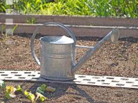 Watering 12