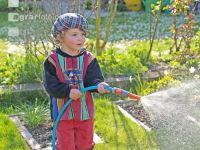 Watering 3