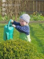Watering 6
