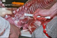 Bauch Karree trennen 3