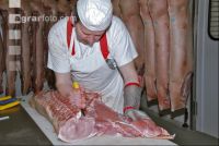 Bauch Karree trennen 1