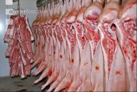 Kühlraum Schweine 4