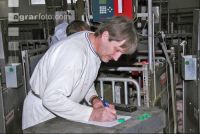 Sau wiegen 6