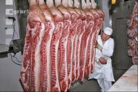 Schweinehälften 3